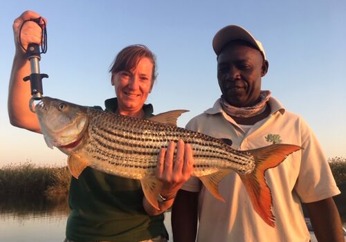 Tiger Fishing with Guide